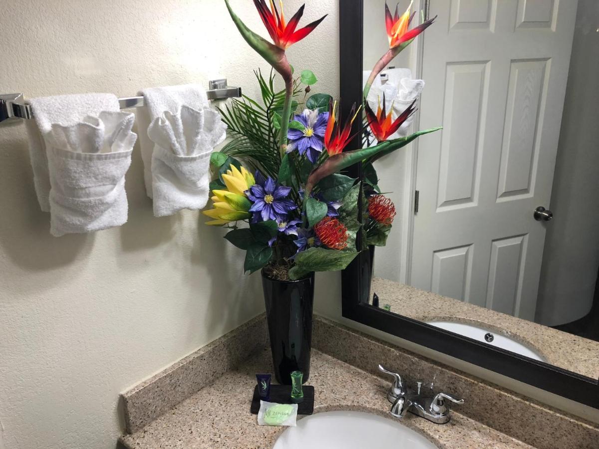 Georgetown Econo Lodge Choice Hotels I 95 Savannah Gateway 24 Hour Fitness Center On Site Guest Laundry On Site Perkins Restaurant מראה חיצוני תמונה